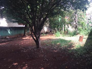 imagem 3 - Terrenos - LoteTerreno imagem 3 - Terrenos - LoteTerreno