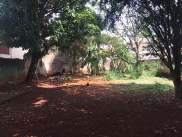 imagem 4 - Terrenos - LoteTerreno imagem 4 - Terrenos - LoteTerreno