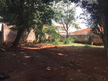 imagem 1 - Terrenos - LoteTerreno imagem 1 - Terrenos - LoteTerreno