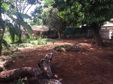 imagem 5 - Terrenos - LoteTerreno imagem 5 - Terrenos - LoteTerreno