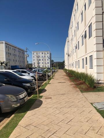 imagem 2 - Apartamentos - Padrão imagem 2 - Apartamentos - Padrão