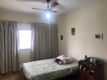 imagem 3 - Apartamentos - Padrão imagem 3 - Apartamentos - Padrão