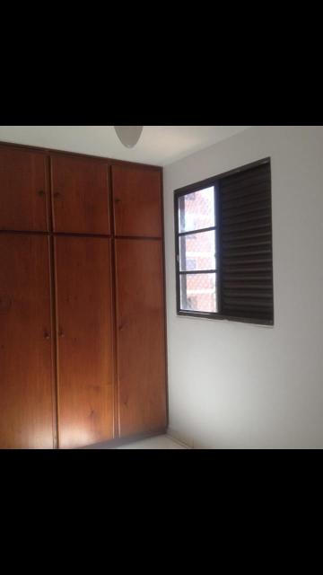 imagem 5 - Apartamentos - Padrão imagem 5 - Apartamentos - Padrão