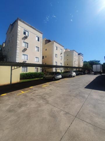 imagem 1 - Apartamentos - Padrão imagem 1 - Apartamentos - Padrão
