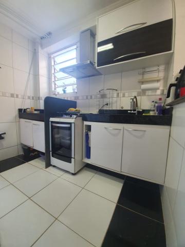 imagem 5 - Apartamentos - Padrão imagem 5 - Apartamentos - Padrão