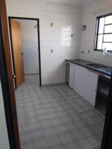 imagem 3 - Apartamentos - Padrão imagem 3 - Apartamentos - Padrão