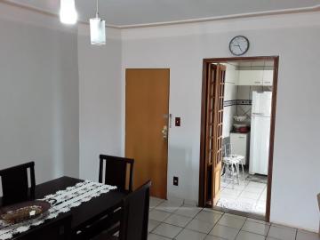 imagem 4 - Apartamentos - Padrão imagem 4 - Apartamentos - Padrão