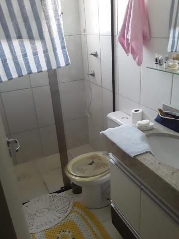 imagem 4 - Apartamentos - Padrão imagem 4 - Apartamentos - Padrão