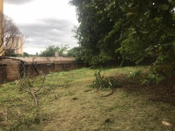 Alugar Terrenos / Lote/Terreno em Ribeirão Preto. apenas R$ 600.000,00