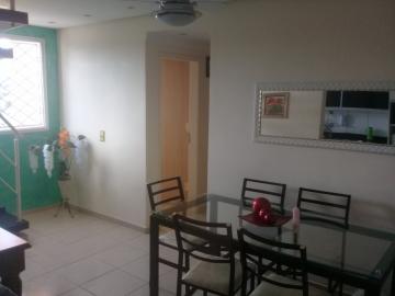 imagem 2 - Apartamentos - Padrão imagem 2 - Apartamentos - Padrão