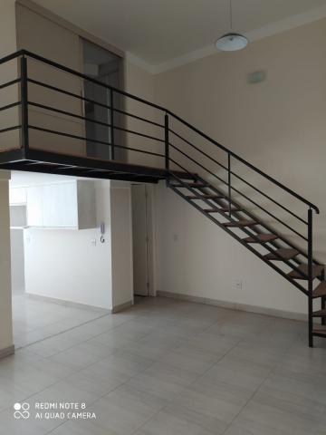 imagem 4 - Apartamentos - Padrão imagem 4 - Apartamentos - Padrão
