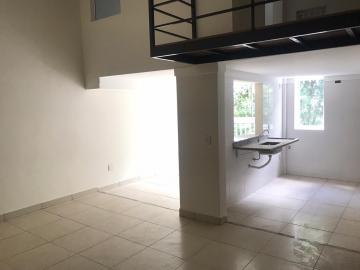 imagem 4 - Apartamentos - Padrão imagem 4 - Apartamentos - Padrão