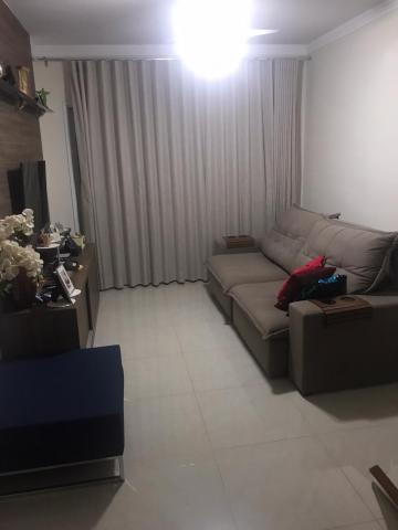 imagem 3 - Apartamentos - Padrão imagem 3 - Apartamentos - Padrão