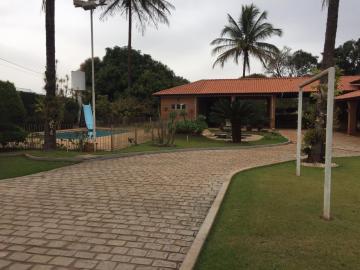 imagem 1 - Chácara Padrão para Locação e Venda, Bairro Estância Beira Rio, em Jardinópolis imagem 1 - Chácara Padrão para Locação e Venda, Bairro Estância Beira Rio, em Jardinópolis