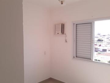 imagem 3 - Apartamentos - Padrão imagem 3 - Apartamentos - Padrão
