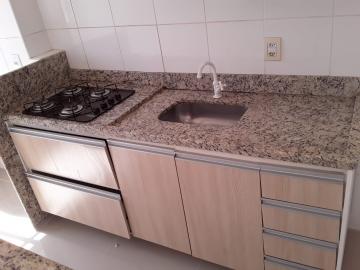 imagem 5 - Apartamentos - Padrão imagem 5 - Apartamentos - Padrão