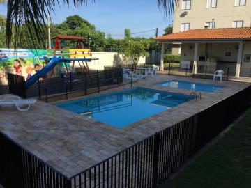 imagem 1 - Apartamentos - Padrão imagem 1 - Apartamentos - Padrão