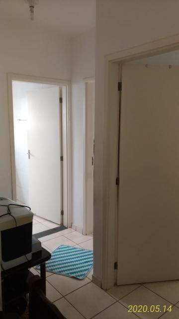 imagem 3 - Apartamentos - Padrão imagem 3 - Apartamentos - Padrão