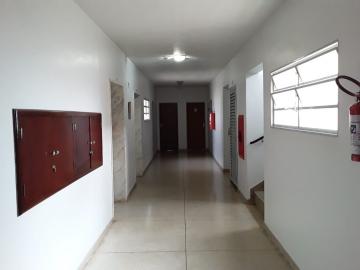 imagem 3 - Apartamentos - Padrão imagem 3 - Apartamentos - Padrão