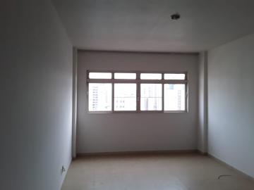 imagem 5 - Apartamentos - Padrão imagem 5 - Apartamentos - Padrão
