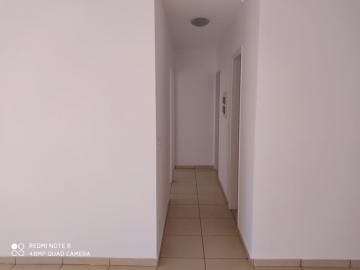 imagem 3 - Apartamentos - Padrão imagem 3 - Apartamentos - Padrão