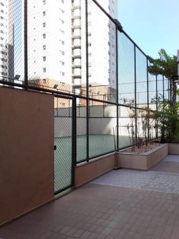 imagem 2 - Apartamentos - Padrão imagem 2 - Apartamentos - Padrão