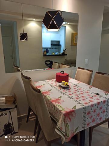 imagem 5 - Apartamentos - Padrão imagem 5 - Apartamentos - Padrão