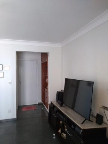 imagem 3 - Apartamentos - Padrão imagem 3 - Apartamentos - Padrão