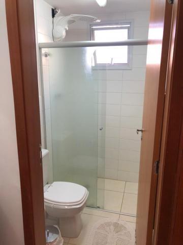 imagem 4 - Apartamentos - Padrão imagem 4 - Apartamentos - Padrão
