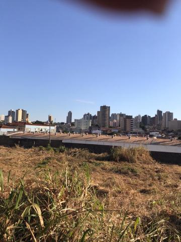 imagem 1 - Terrenos - LoteTerreno imagem 1 - Terrenos - LoteTerreno