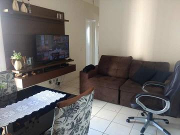imagem 2 - Apartamentos - Padrão imagem 2 - Apartamentos - Padrão
