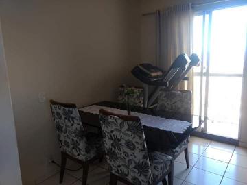 imagem 5 - Apartamentos - Padrão imagem 5 - Apartamentos - Padrão