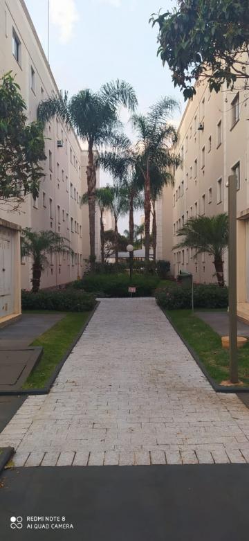 imagem 1 - Apartamentos - Padrão imagem 1 - Apartamentos - Padrão