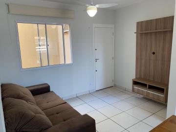 imagem 3 - Apartamentos - Padrão imagem 3 - Apartamentos - Padrão