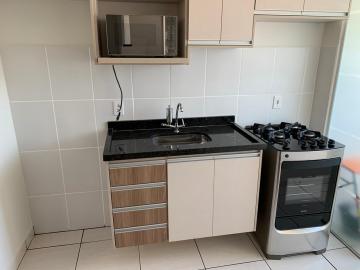 imagem 4 - Apartamentos - Padrão imagem 4 - Apartamentos - Padrão