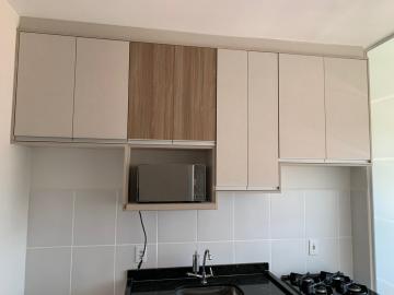 imagem 5 - Apartamentos - Padrão imagem 5 - Apartamentos - Padrão