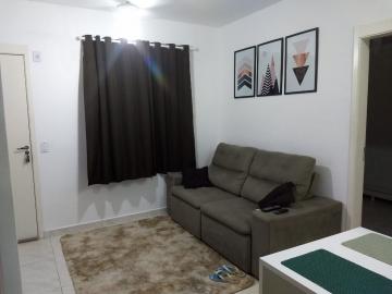 imagem 4 - Apartamentos - Padrão imagem 4 - Apartamentos - Padrão