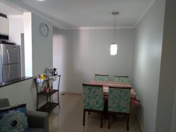 imagem 3 - Apartamentos - Padrão imagem 3 - Apartamentos - Padrão