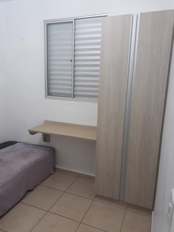 imagem 5 - Apartamentos - Padrão imagem 5 - Apartamentos - Padrão
