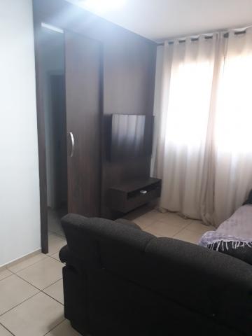 imagem 4 - Apartamentos - Padrão imagem 4 - Apartamentos - Padrão