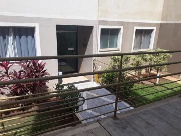 imagem 2 - Apartamentos - Padrão imagem 2 - Apartamentos - Padrão