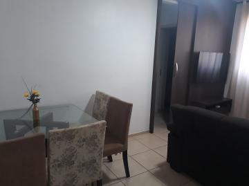 imagem 3 - Apartamentos - Padrão imagem 3 - Apartamentos - Padrão