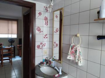 imagem 4 - Apartamentos - Padrão imagem 4 - Apartamentos - Padrão