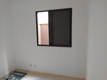 imagem 4 - Apartamentos - Padrão imagem 4 - Apartamentos - Padrão