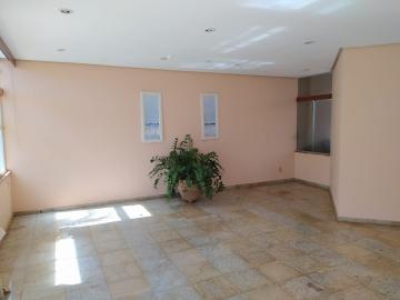 imagem 5 - Apartamentos - Padrão imagem 5 - Apartamentos - Padrão