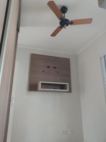 imagem 3 - Apartamentos - Padrão imagem 3 - Apartamentos - Padrão