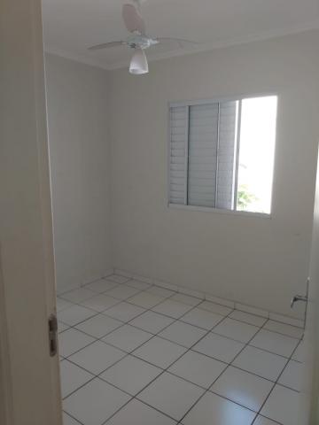 imagem 5 - Apartamentos - Padrão imagem 5 - Apartamentos - Padrão
