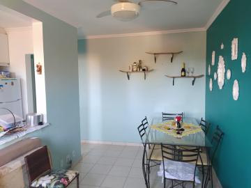 imagem 3 - Apartamentos - Padrão imagem 3 - Apartamentos - Padrão