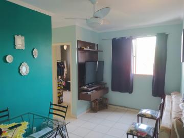 imagem 2 - Apartamentos - Padrão imagem 2 - Apartamentos - Padrão