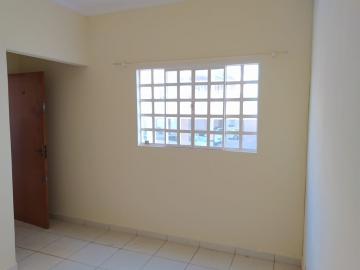 imagem 3 - Apartamentos - Padrão imagem 3 - Apartamentos - Padrão